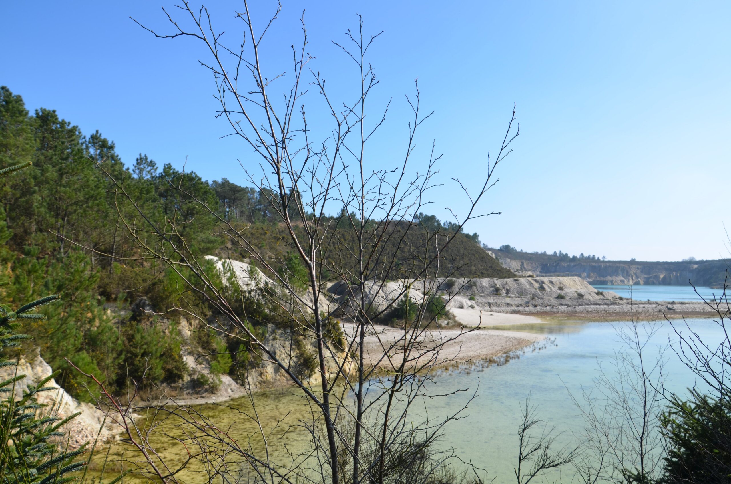 Étude d’impact d’une centrale photovoltaïque à l’ancienne carrière de Kaolin (Finistère – 29)
