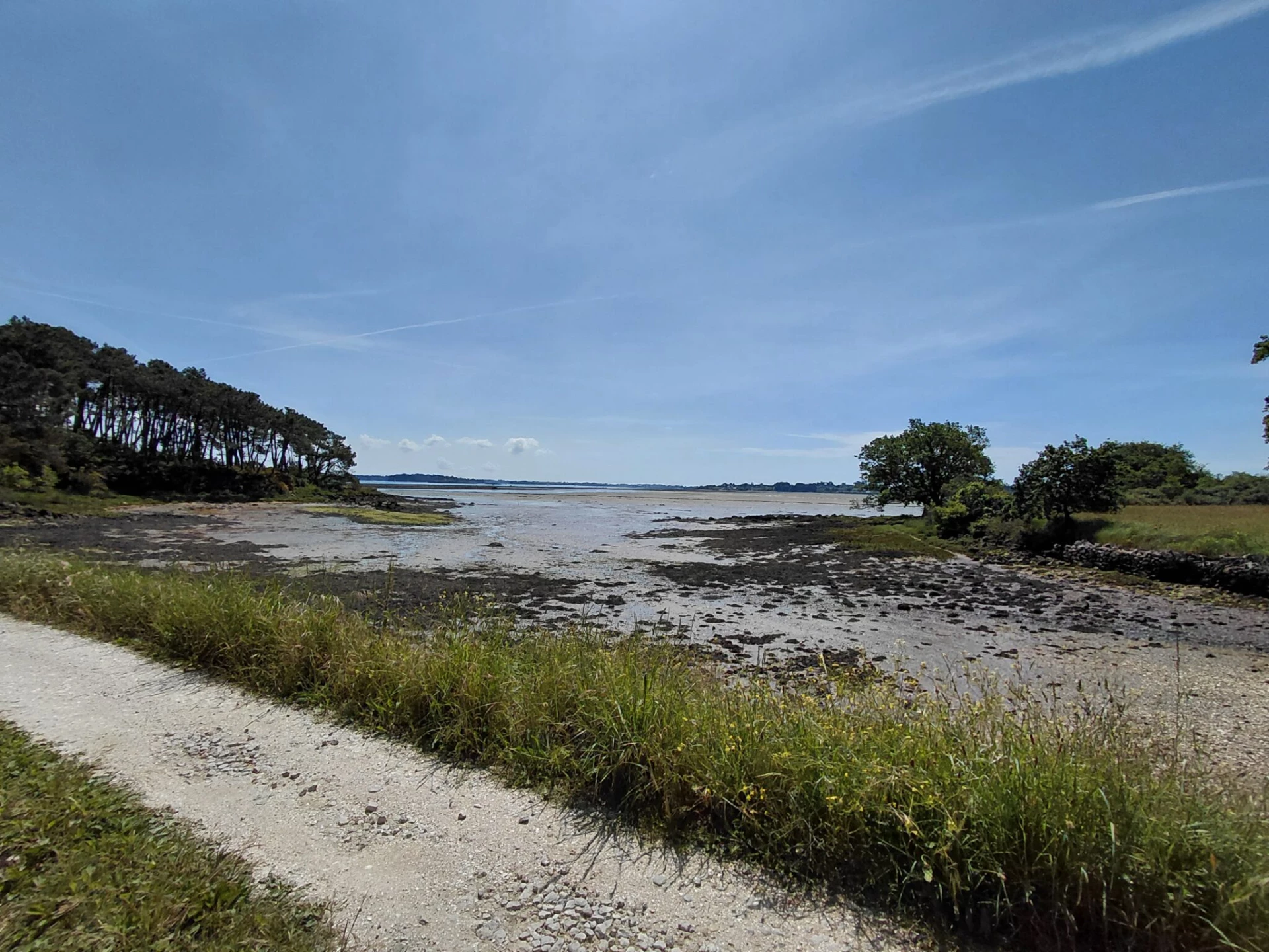 Étude de faisabilité pour l’application de la SPPL en conformité avec les enjeux de biodiversité à Locmariaquer (Morbihan – 56)