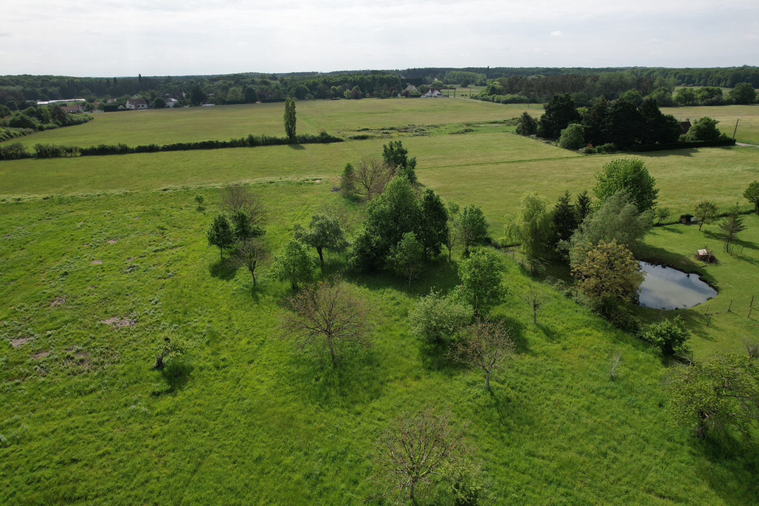 Commune de Cheverny - étude environnementale