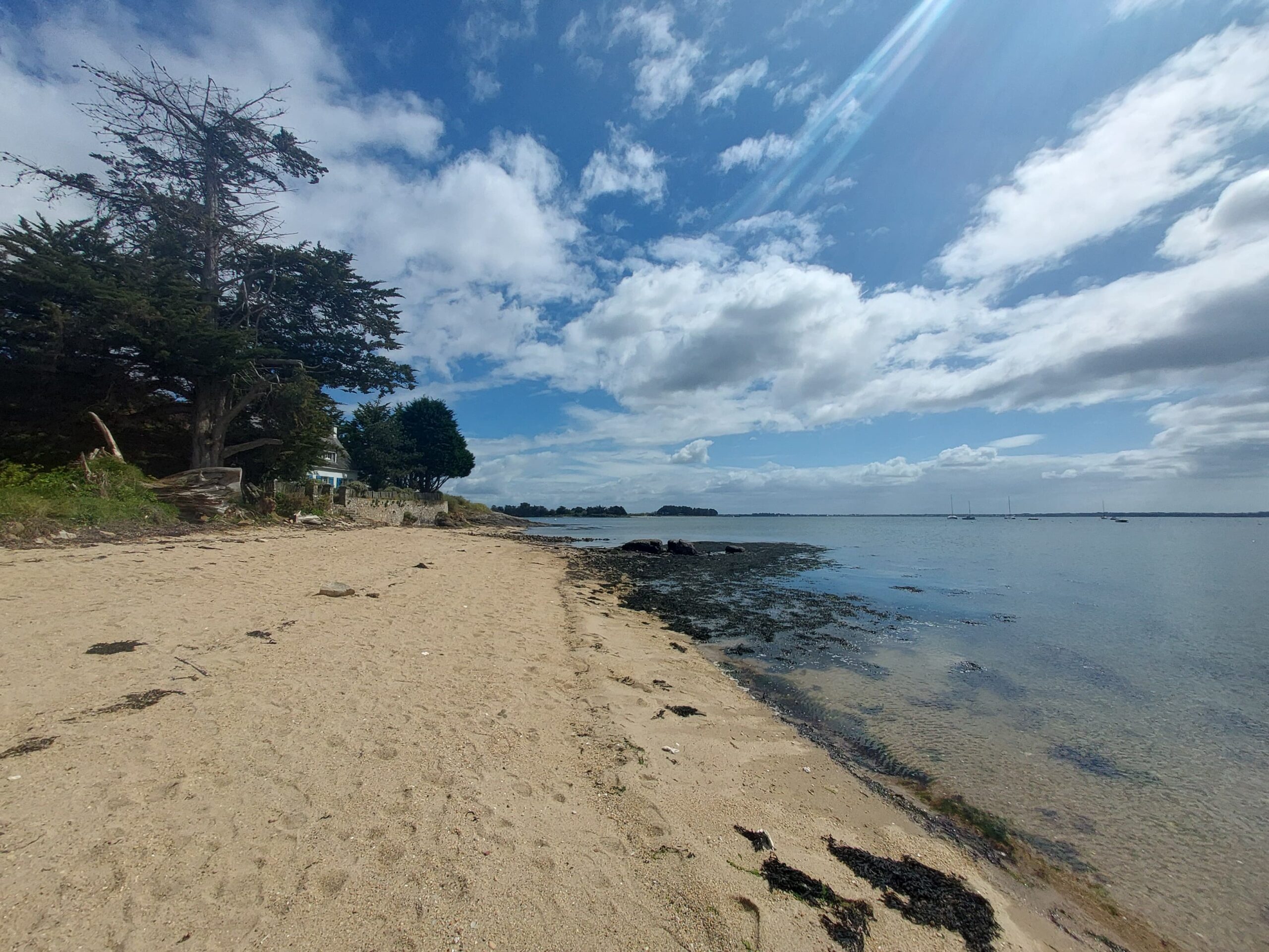 Autorisation d’Occupation Temporaire (AOT) – Zone de Mouillages – Étude ornithologique sur l’île d’Arz (Morbihan – 56)
