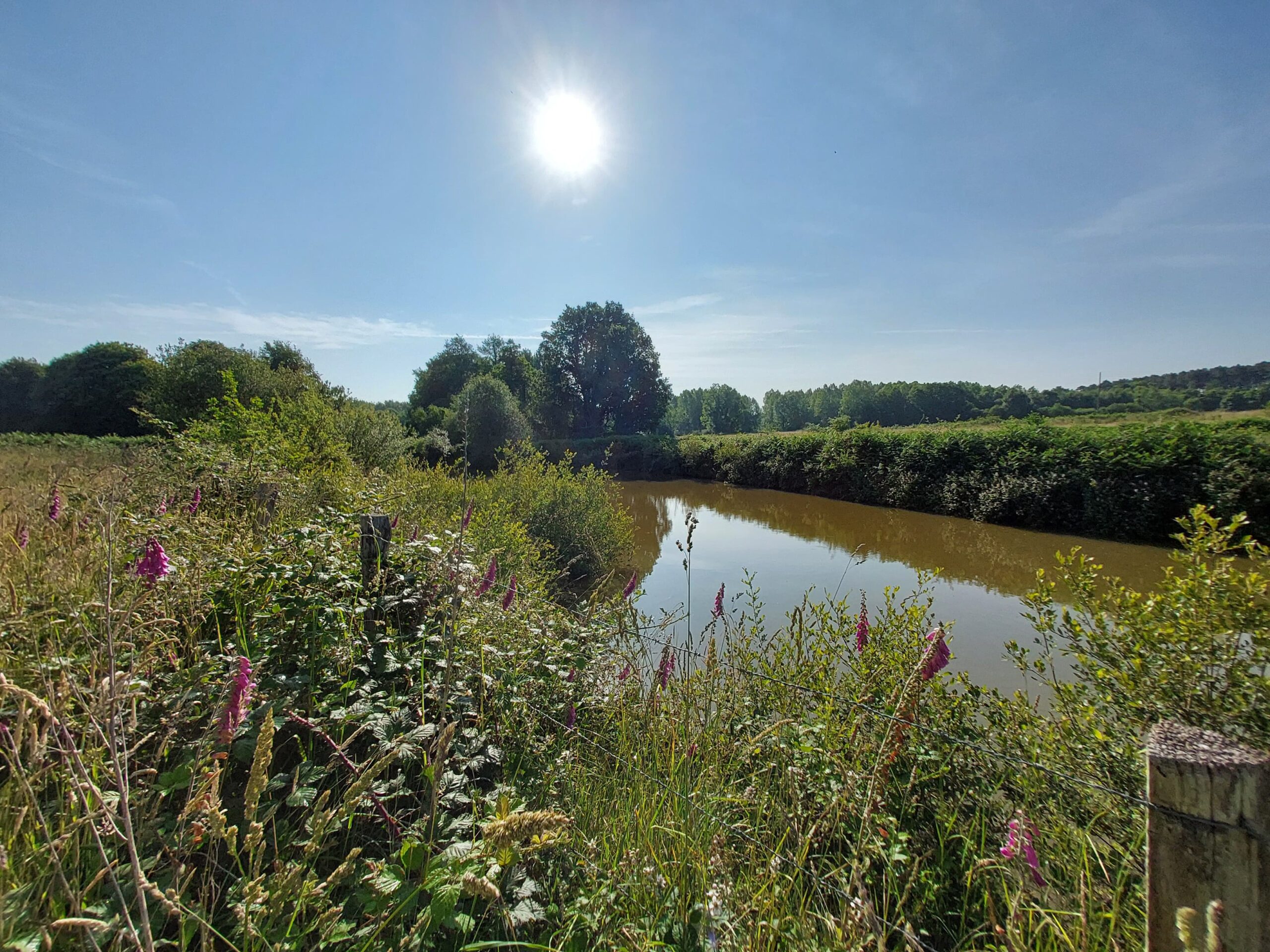 Nature dans le Pays Fléchois