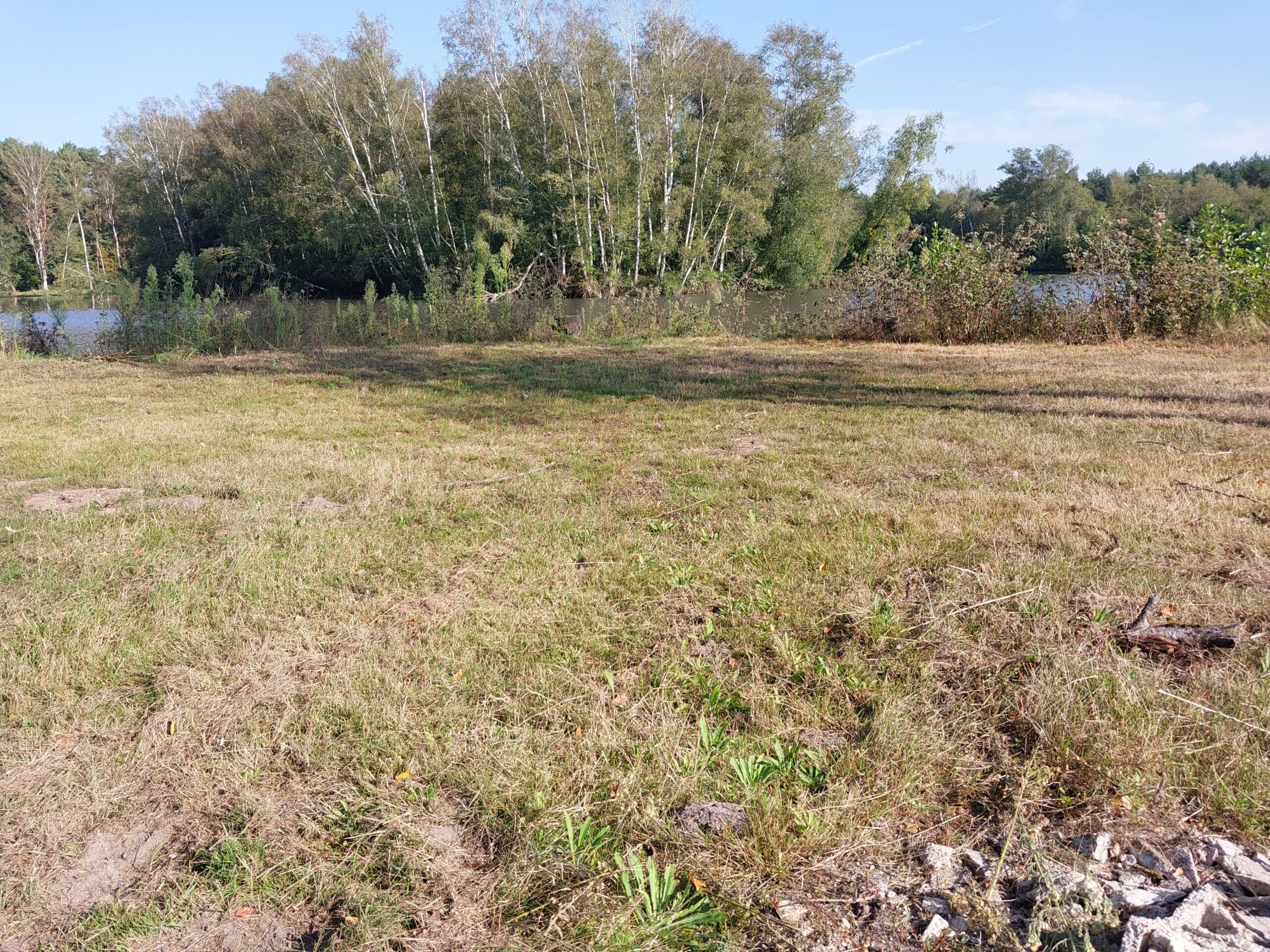 Dossier d’incidence Natura 2000 à Sainte-Montaine (Cher – 18)