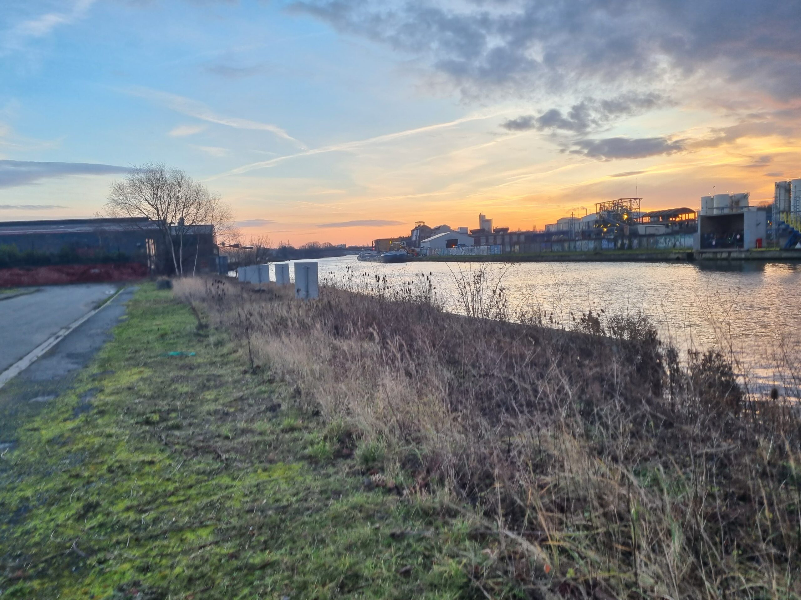 Inventaires, cartographies et préconisation de gestion écologique des sites gérés par Ports de Lille​ (Nord – 59)