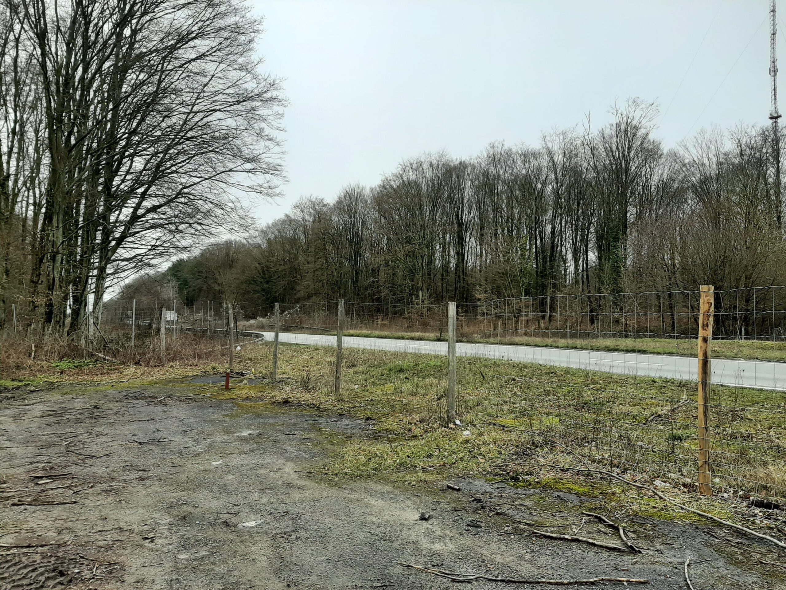 Études écologiques dans le cadre de la mise à 2×2 voies de la RN2 – Sécurisation de la forêt de Retz (Aisne – 02)