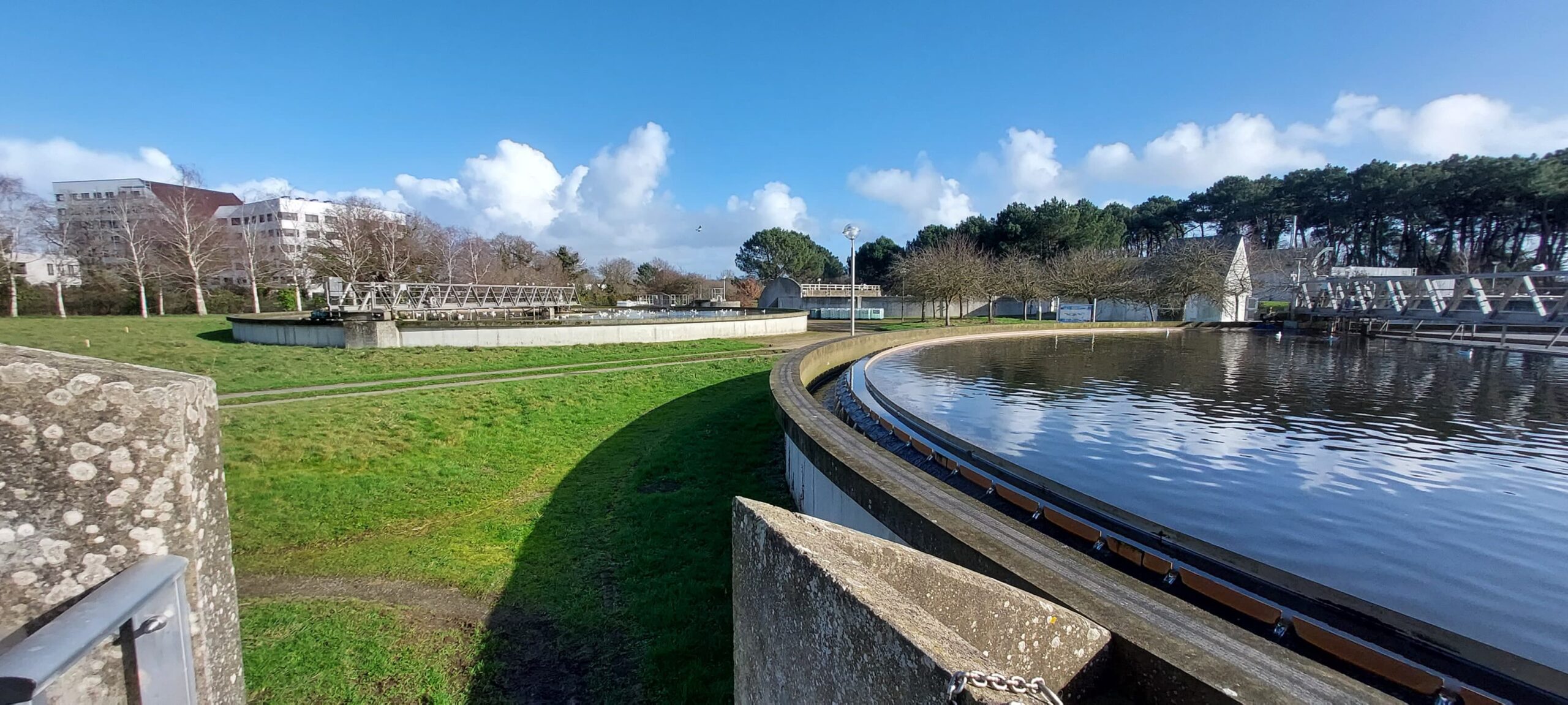 Missions de diagnostic de milieux naturels, faune flore pour un projet de STEP à Vannes (Morbihan – 56)