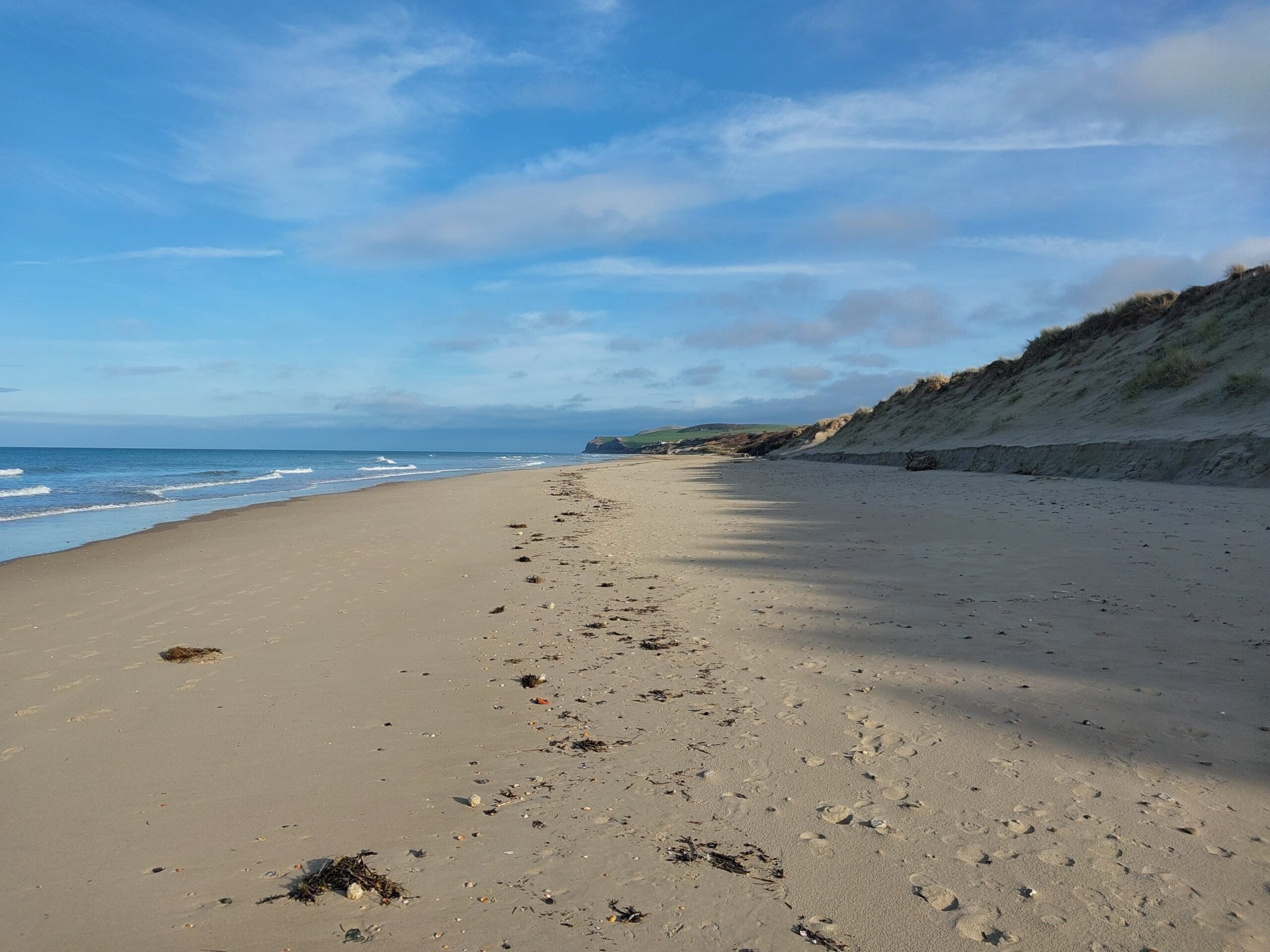 Étude écologique dans le cadre de la gestion dunaire du trait de côte​​ à Wissant (Nord – 59)