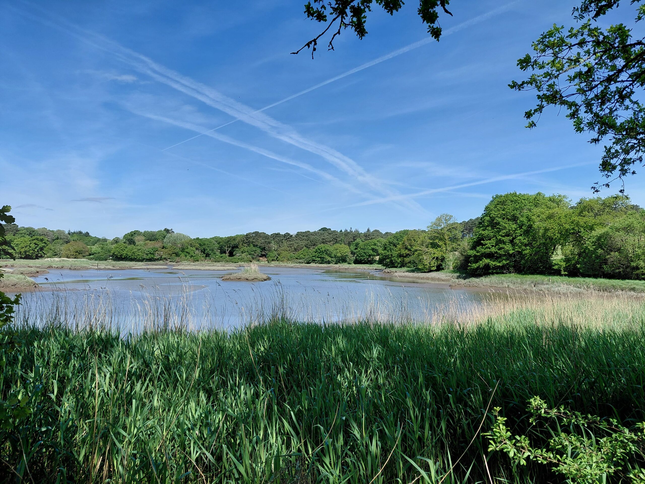 Étude de faisabilité pour l’application de la servitude de Marchepied en conformité avec les enjeux de biodiversité (Morbihan – 56)