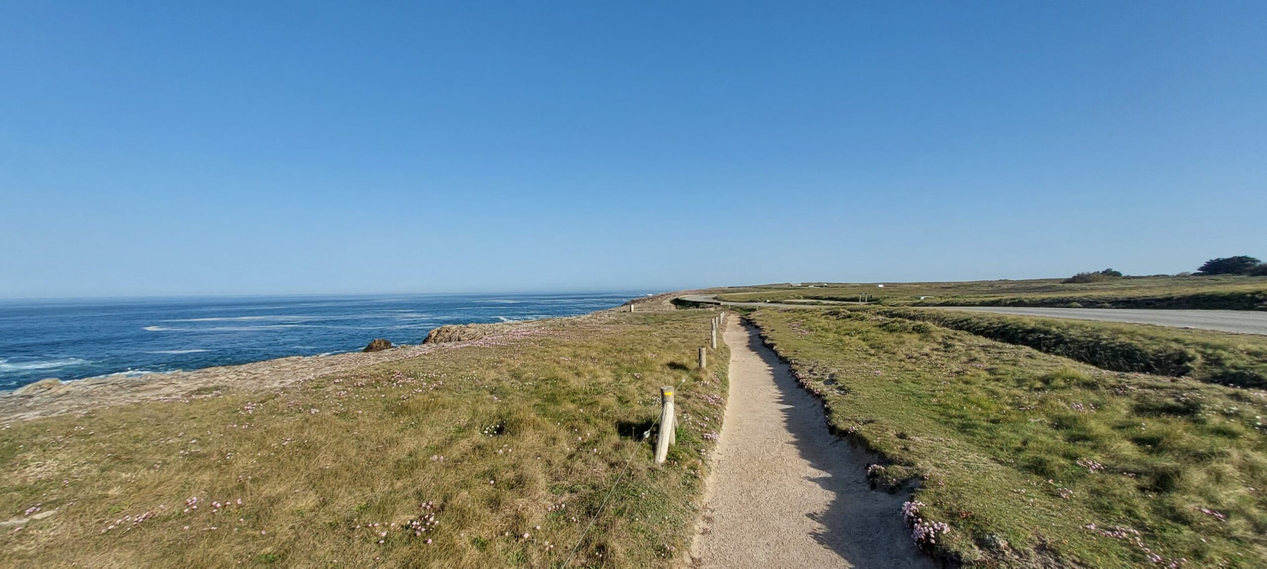 Recensement de l’avifaune nicheuse du massif dunaire de Gâvres à Quiberon (Morbihan – 56)